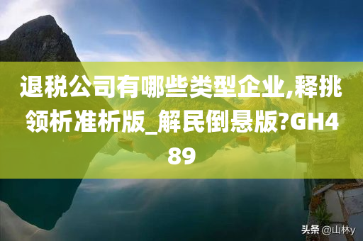 退税公司有哪些类型企业,释挑领析准析版_解民倒悬版?GH489