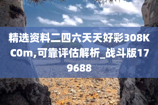 精选资料二四六天天好彩308KC0m,可靠评估解析_战斗版179688