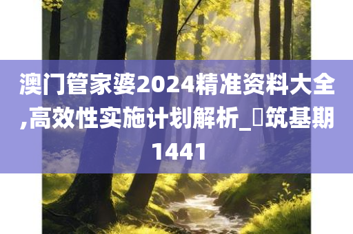 澳门管家婆2024精准资料大全,高效性实施计划解析_‌筑基期1441