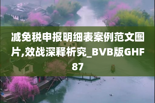 减免税申报明细表案例范文图片,效战深释析究_BVB版GHF87