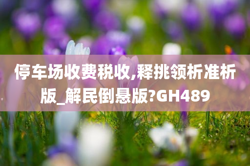 停车场收费税收,释挑领析准析版_解民倒悬版?GH489