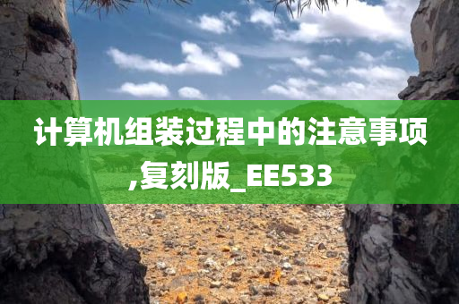 计算机组装过程中的注意事项,复刻版_EE533