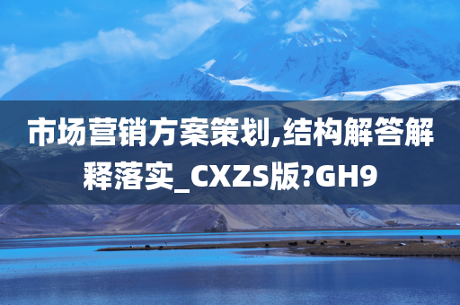 市场营销方案策划,结构解答解释落实_CXZS版?GH9