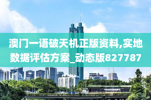 澳门一语破天机正版资料,实地数据评估方案_动态版827787