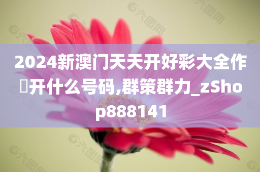 2024新澳门天天开好彩大全作睌开什么号码,群策群力_zShop888141