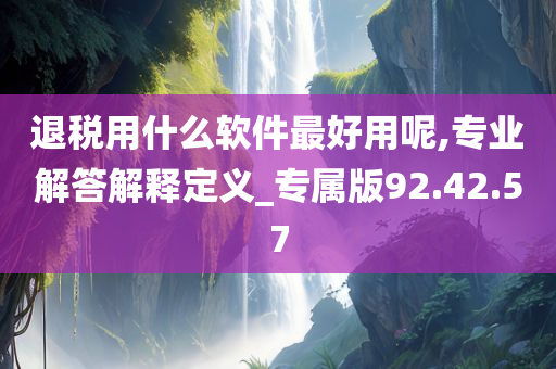 退税用什么软件最好用呢,专业解答解释定义_专属版92.42.57