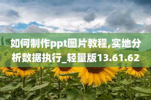 如何制作ppt图片教程,实地分析数据执行_轻量版13.61.62