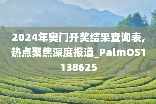 2024年奥门开奖结果查询表,热点聚焦深度报道_PalmOS1138625