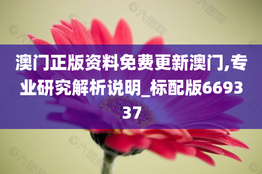 澳门正版资料免费更新澳门,专业研究解析说明_标配版669337