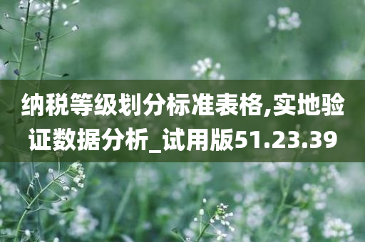 纳税等级划分标准表格,实地验证数据分析_试用版51.23.39