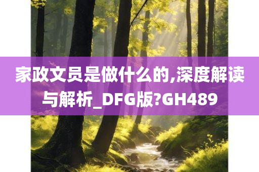 家政文员是做什么的,深度解读与解析_DFG版?GH489