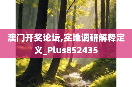 澳门开奖论坛,实地调研解释定义_Plus852435