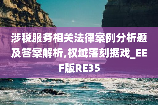 涉税服务相关法律案例分析题及答案解析,权域落刻据戏_EEF版RE35