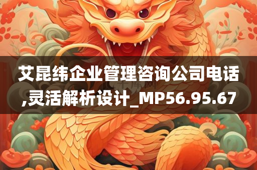 艾昆纬企业管理咨询公司电话,灵活解析设计_MP56.95.67