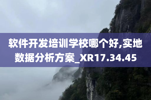 软件开发培训学校哪个好,实地数据分析方案_XR17.34.45