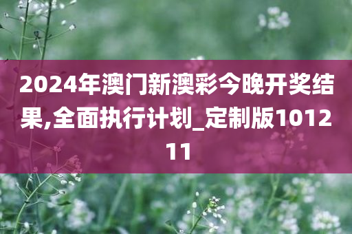 2024年澳门新澳彩今晚开奖结果,全面执行计划_定制版101211