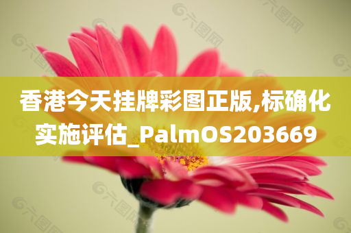 香港今天挂牌彩图正版,标确化实施评估_PalmOS203669