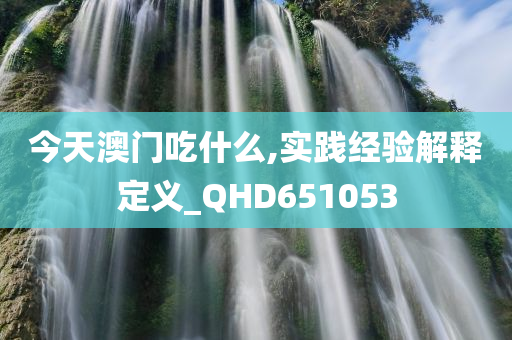 今天澳门吃什么,实践经验解释定义_QHD651053