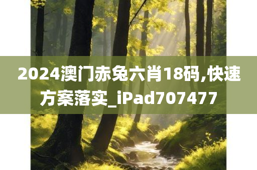 2024澳门赤兔六肖18码,快速方案落实_iPad707477