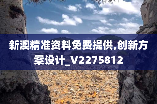 新澳精准资料免费提供,创新方案设计_V2275812