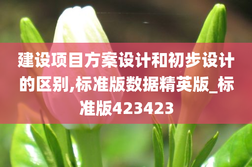 建设项目方案设计和初步设计的区别,标准版数据精英版_标准版423423