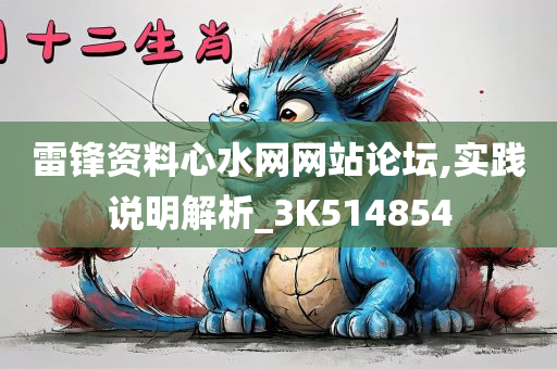 雷锋资料心水网网站论坛,实践说明解析_3K514854