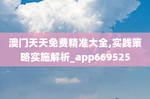 澳门天天免费精准大全,实践策略实施解析_app669525