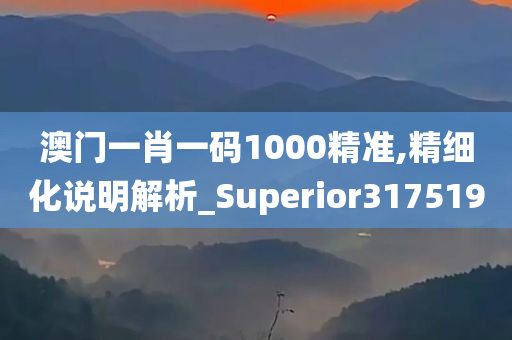 澳门一肖一码1000精准,精细化说明解析_Superior317519