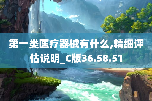 第一类医疗器械有什么,精细评估说明_C版36.58.51