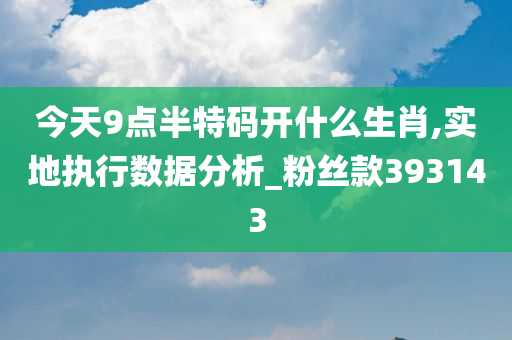 今天9点半特码开什么生肖,实地执行数据分析_粉丝款393143