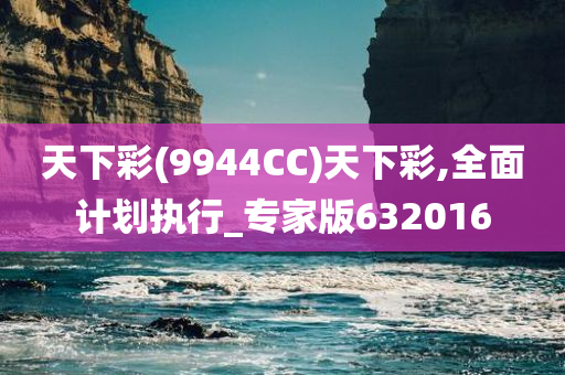 天下彩(9944CC)天下彩,全面计划执行_专家版632016