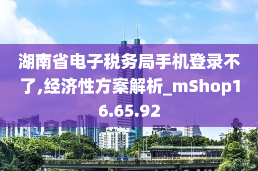 湖南省电子税务局手机登录不了,经济性方案解析_mShop16.65.92