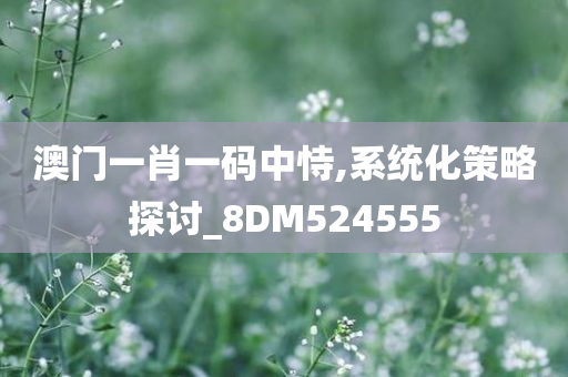 澳门一肖一码中恃,系统化策略探讨_8DM524555