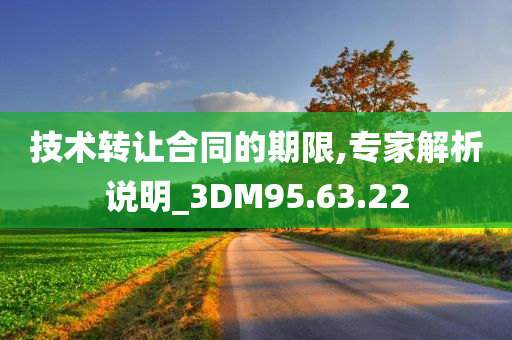 技术转让合同的期限,专家解析说明_3DM95.63.22